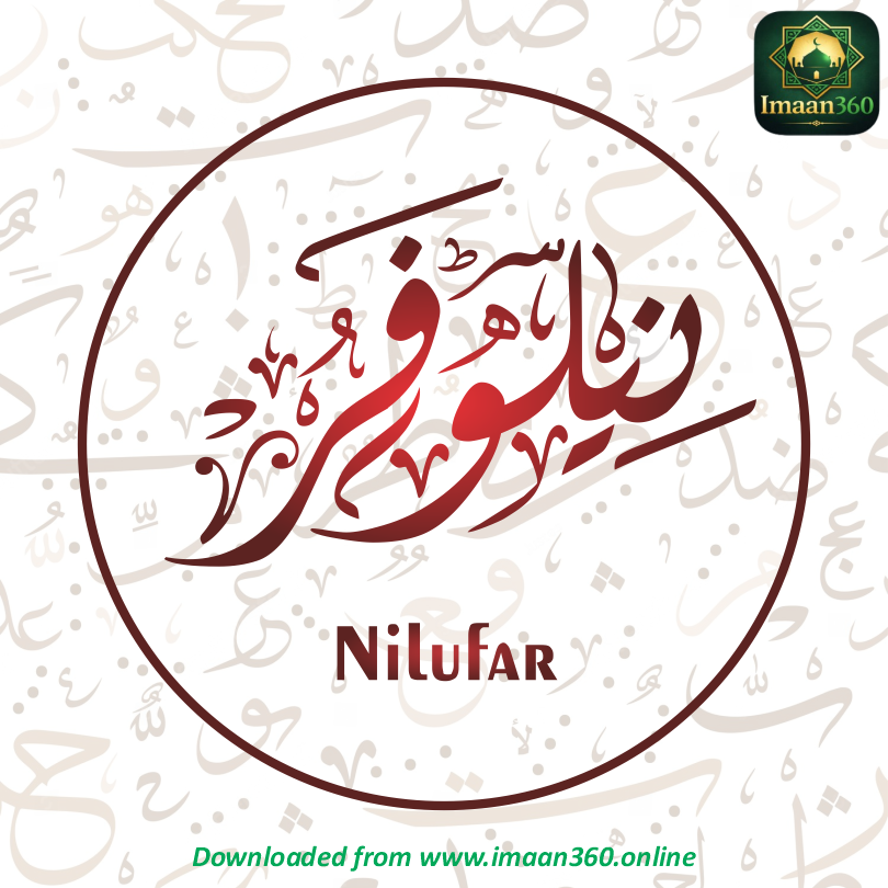 Nilufar