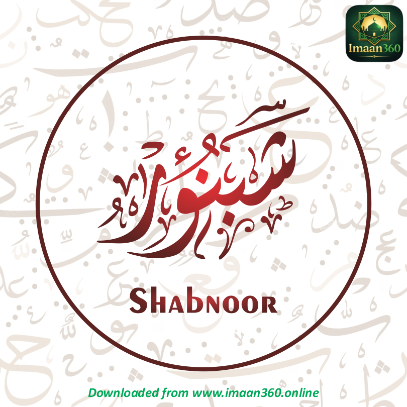 Shabnoor